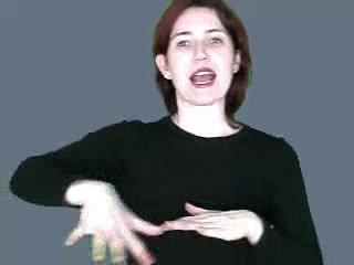 yard.mp4