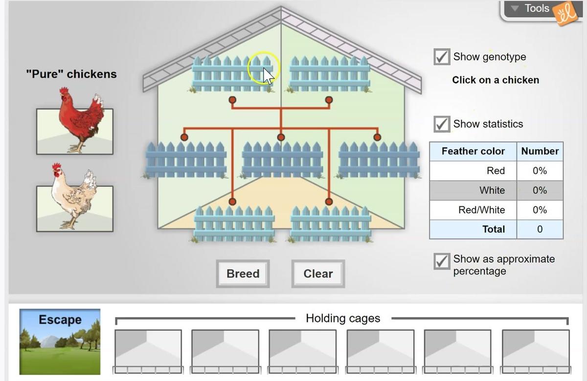 Heterozygous Parents (Activity #3)