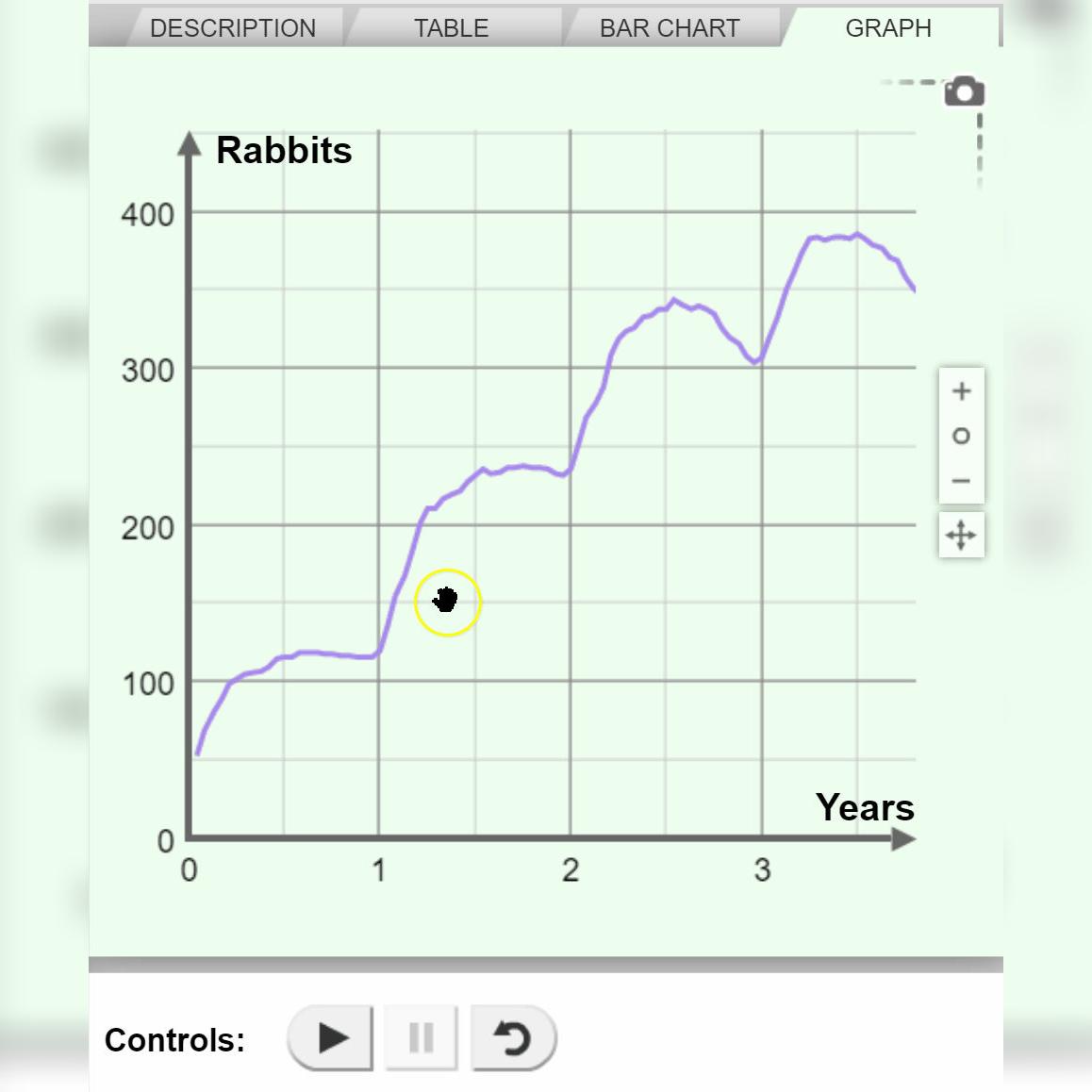 Rabbit 12 Year Set Up.gif
