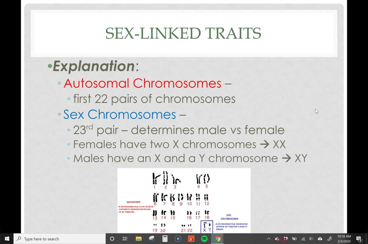 Sex-Linked Traits