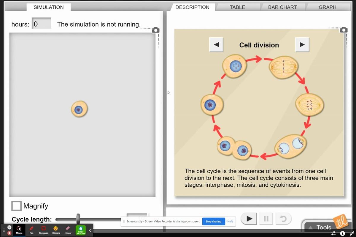Cell Division Gizmo Introduction