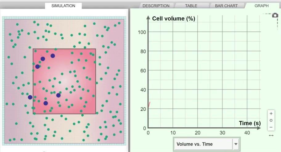 Osmosis - Cell Size Analysis
