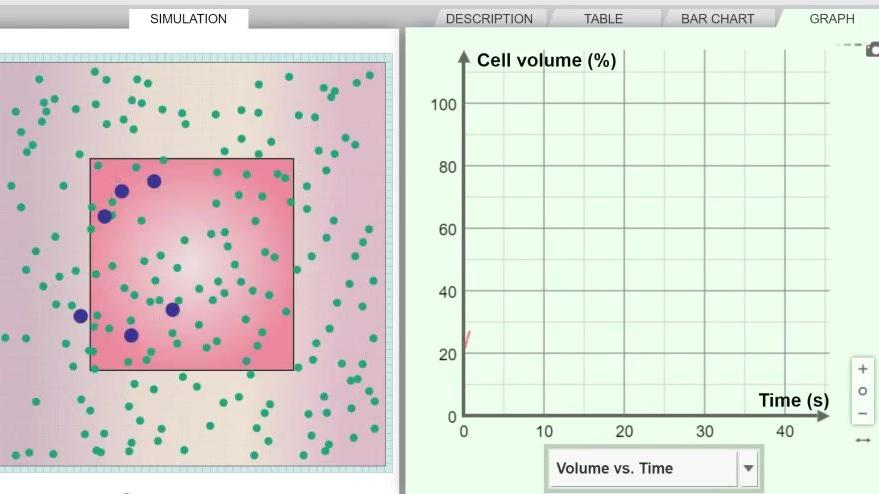 Osmosis - Cell Size Analysis