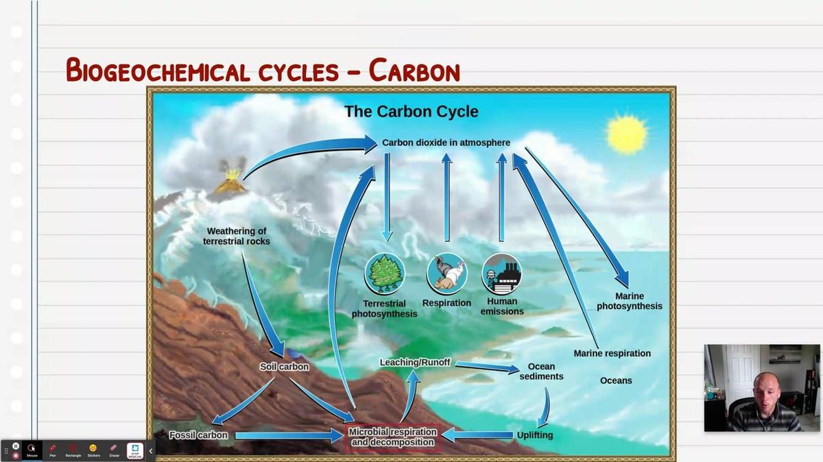 Topic 4: The Carbon Cycle