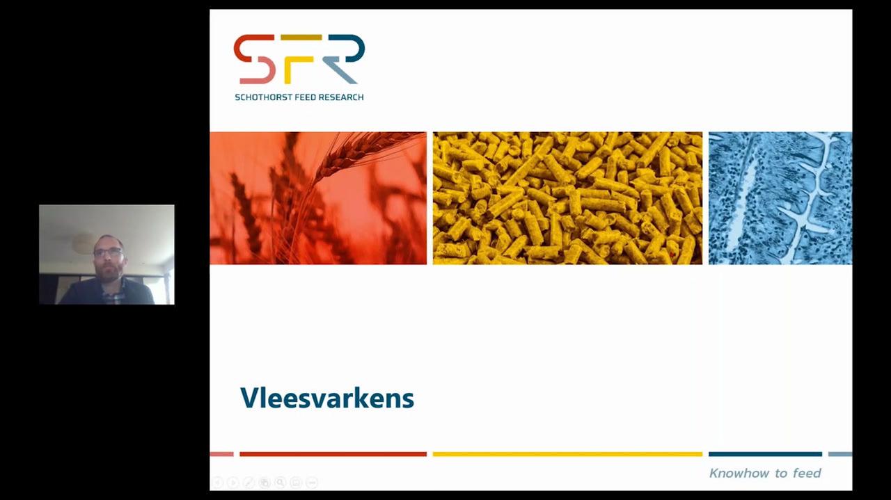 Varkens- en pluimveevoeding basis - 4.2 Vleesvarkens