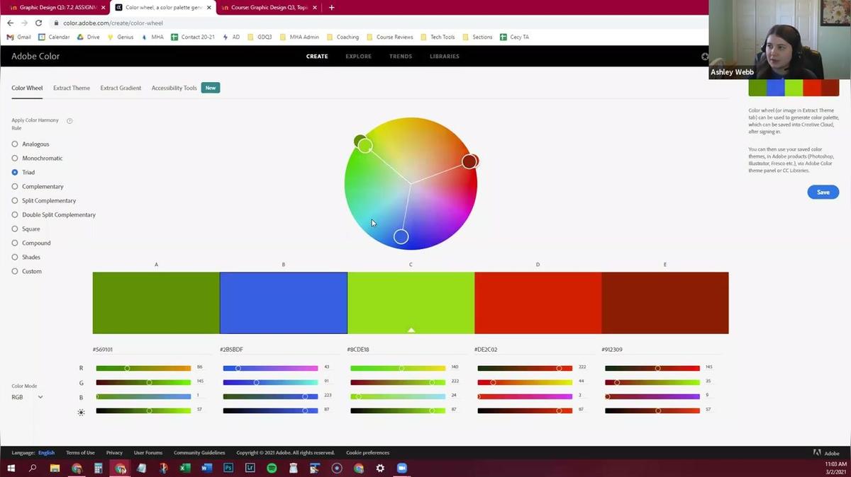 Graphic Design - Adobe Color Website and Color Schemes Assignment.mp4