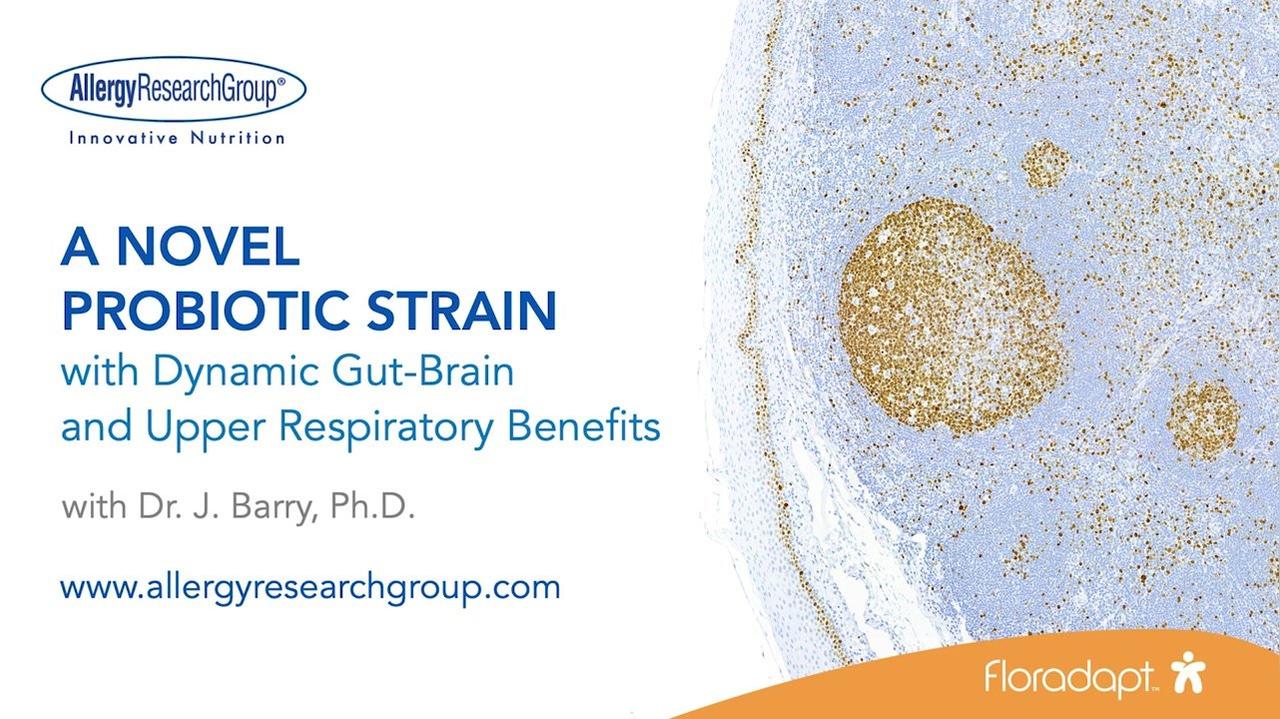 DR7 Probiotic (2021)