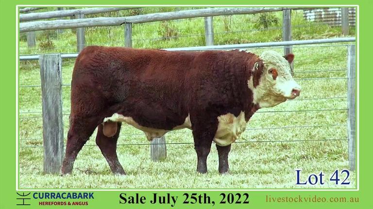 Lot 42 Curracabark 2022