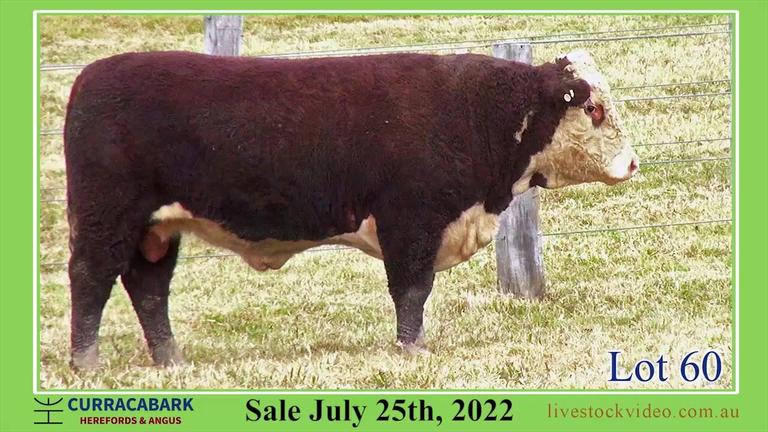 Lot 60 Curracabark 2022