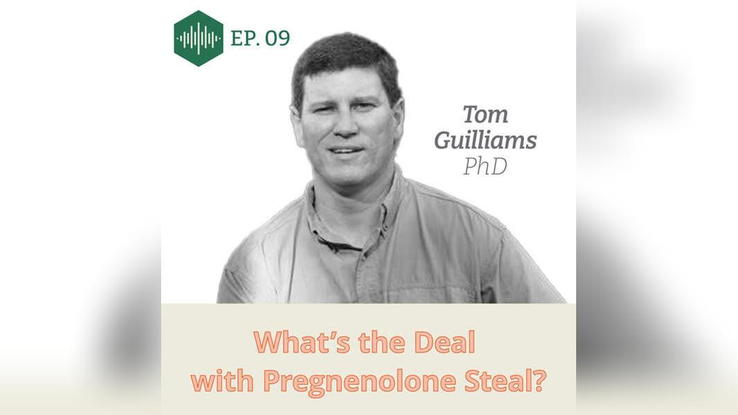 Episode 9, Tom Guilliams PhD, What's the deal with the pregnenolone steal?