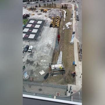 bluebird bio crane pick