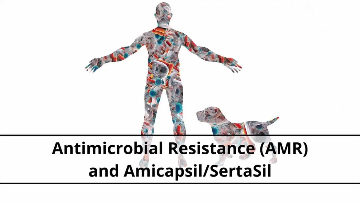 Antimicrobial Resistance and Amicapsil-SertaSil