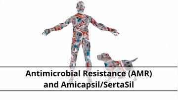 Antimicrobial Resistance and Amicapsil-SertaSil