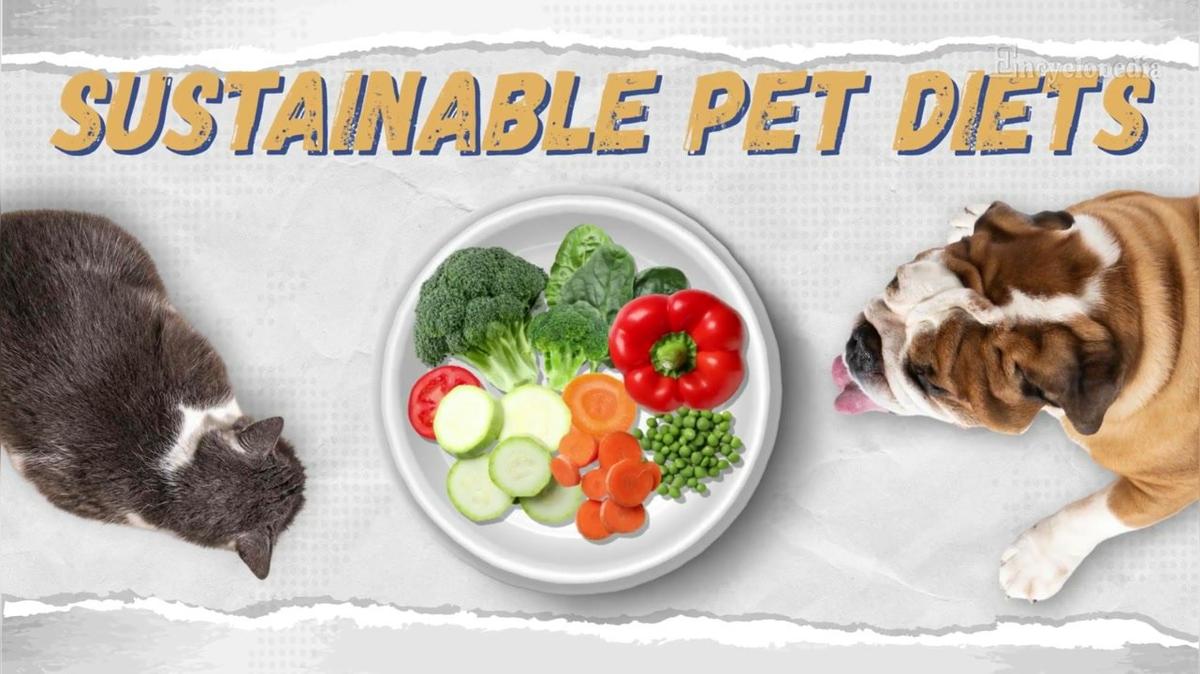 2. Vegan Pet Food