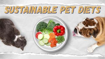 Sustainable Pet Diets: A Leading Effective Altruism Issue