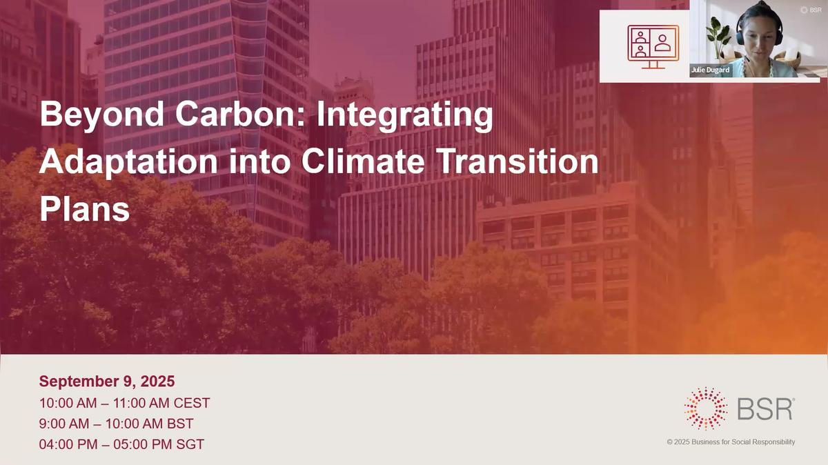 Beyond Carbon: Integrating Adaptation into Climate Transition Plans