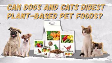 Can Dogs And Cats Digest Plant-Based Pet Foods?