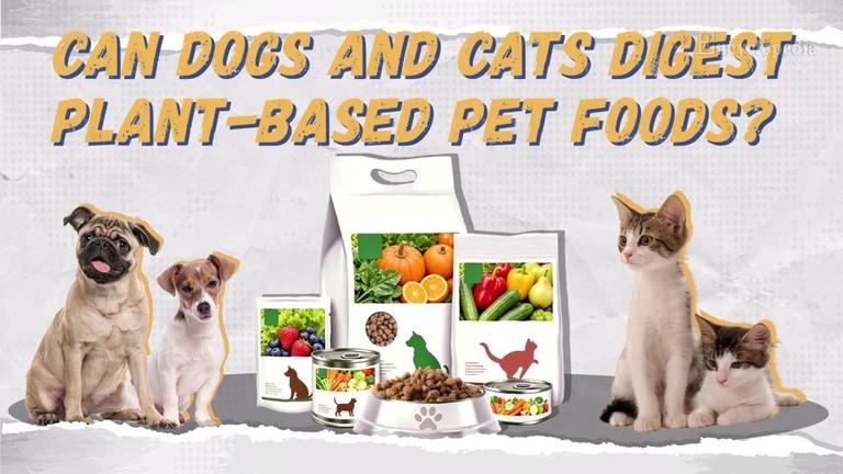 Can Dogs And Cats Digest Plant-Based Pet Foods?