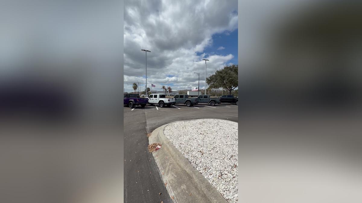 ALL NEW GLADIATORS !!!