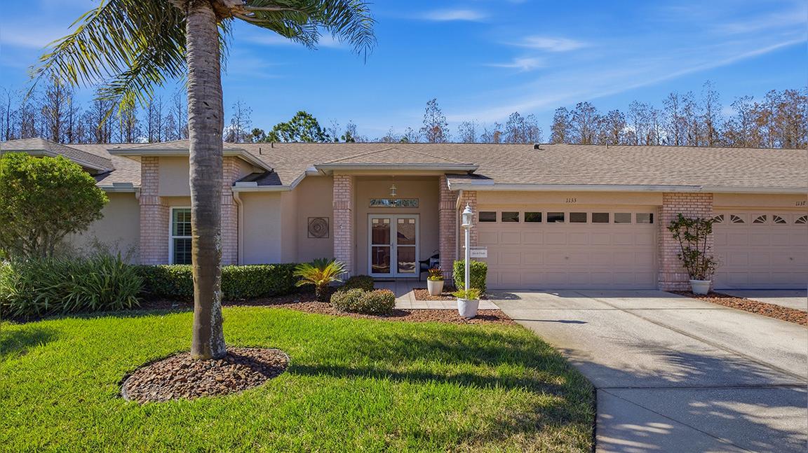 1133 Sweet Jasmine Dr, Trinity, FL 34655