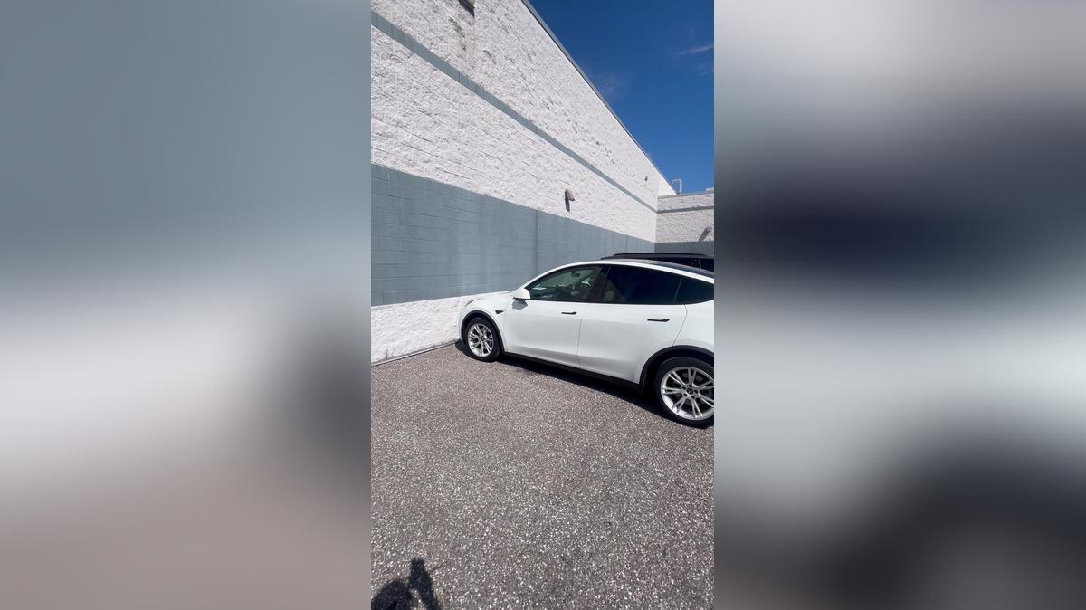 ZEE TESLA
