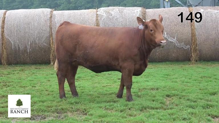 Lot 149 M089