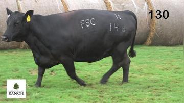 Lot 130 H148