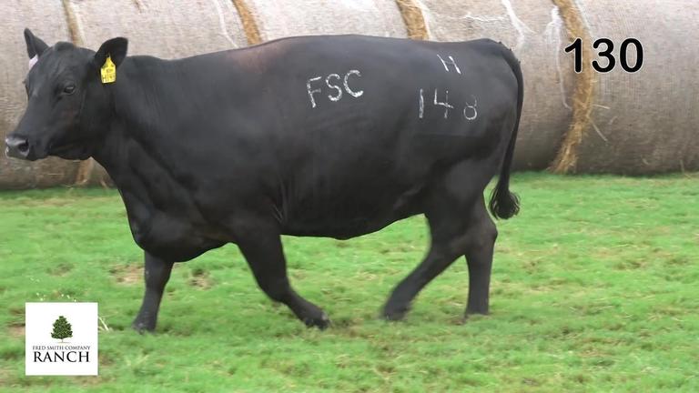 Lot 130 H148