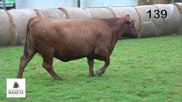 Lot 139 271J