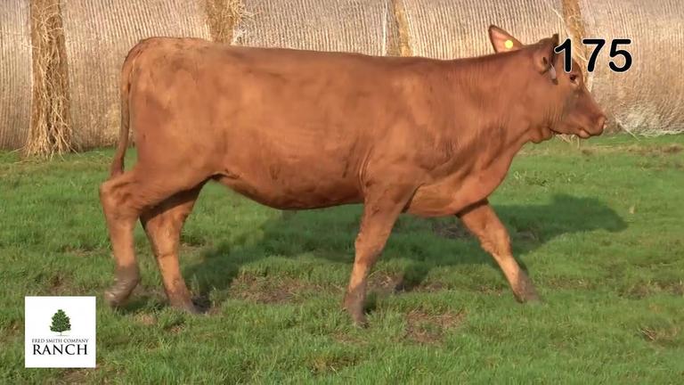 Lot 175 M349