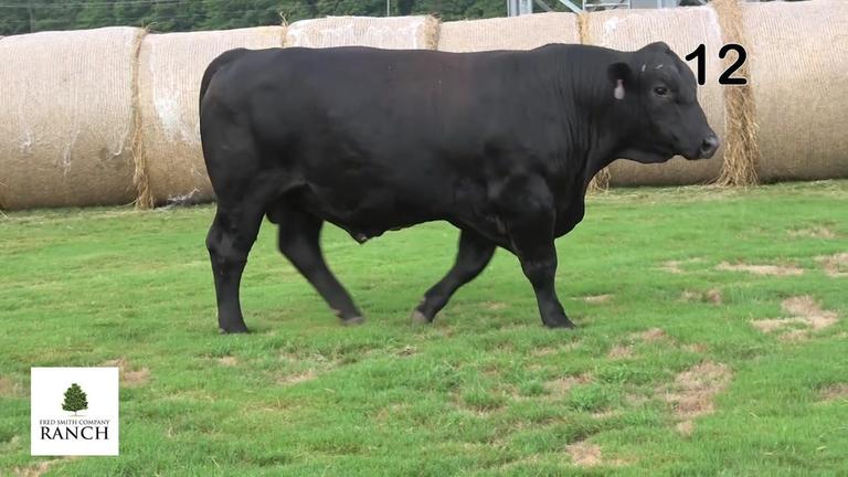 Lot 12 M051