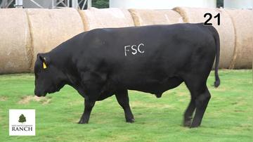 Lot 21 M030