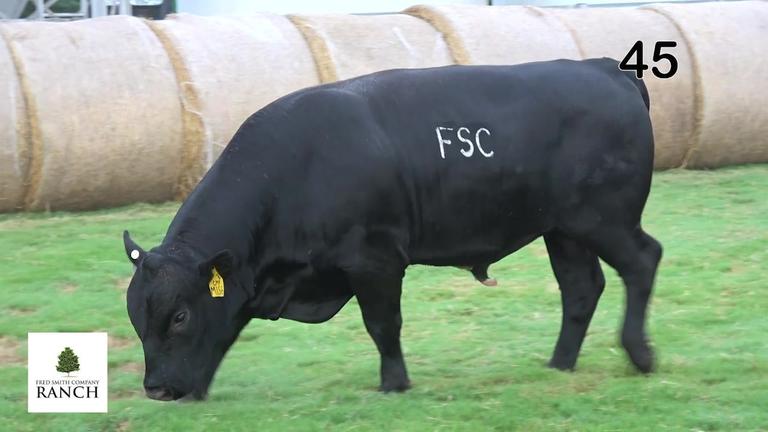 Lot 45 M156