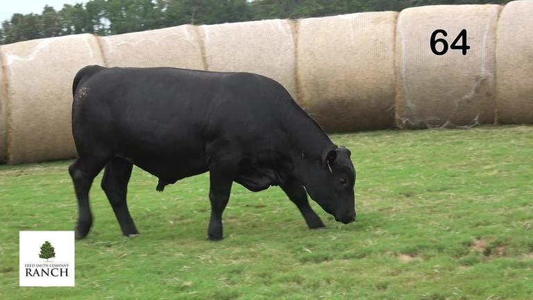 Lot 64 M251