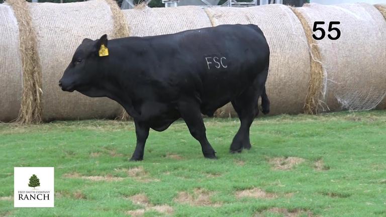 Lot 55 M011