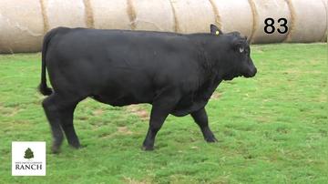 Lot 83 M208