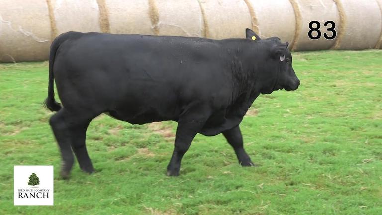 Lot 83 M208