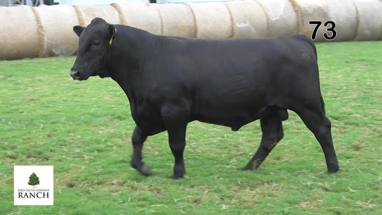 Lot 73 M243