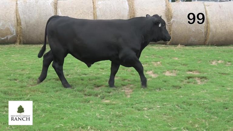 Lot 99 M263