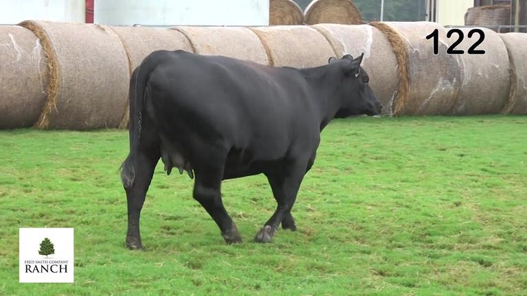 Lot 122 L233