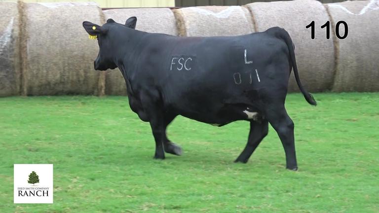 Lot 110 L071
