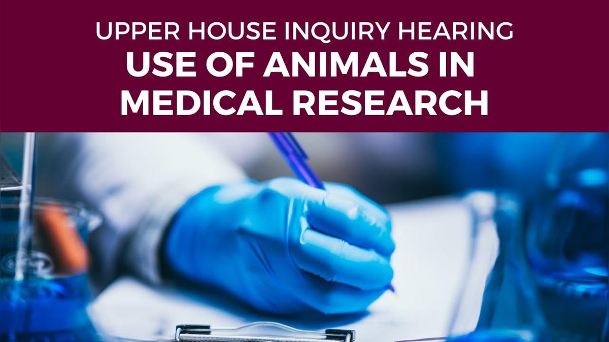 Public hearing - PC 2 - Use of primates and other animals in medical research in NSW - 1 June 2022