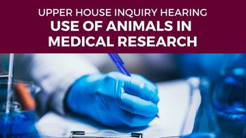 Public hearing - PC 2 - Use of primates and other animals in medical research in NSW - 1 June 2022