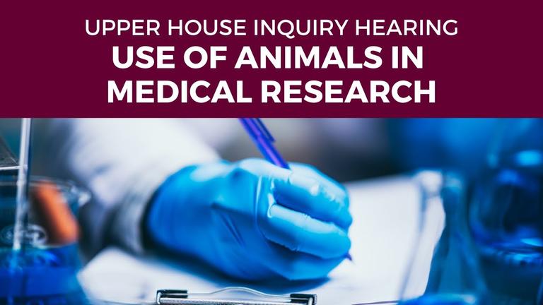 Public hearing - PC 2 - Use of primates and other animals in medical research in NSW - 1 June 2022