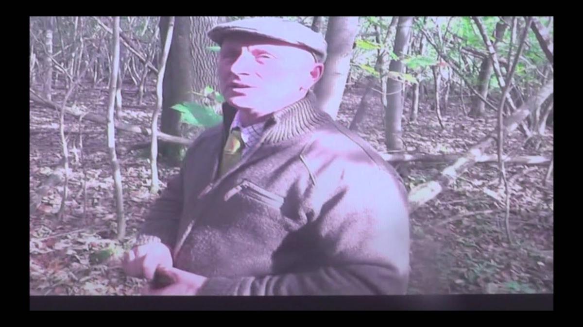 Dog hunting pack impact on wildlife: case study - Andrew Knight - Hunting Symposium