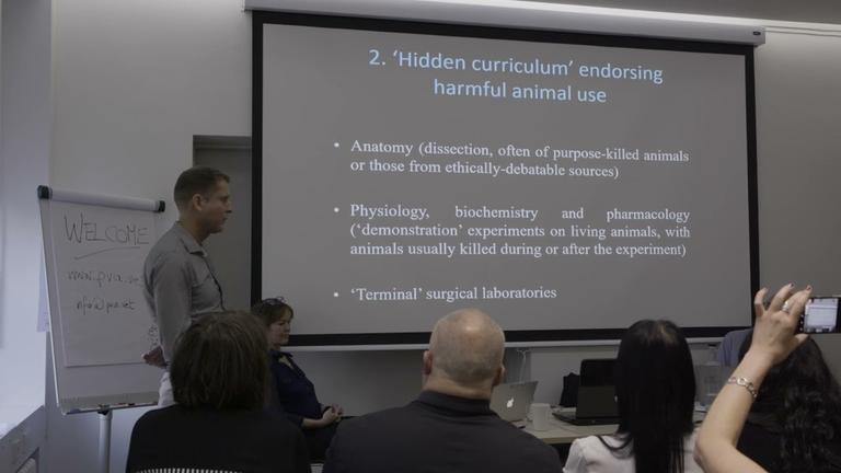 Advancing Animal Welfare Standards within the Veterinary Profession by Professor Andrew Knight