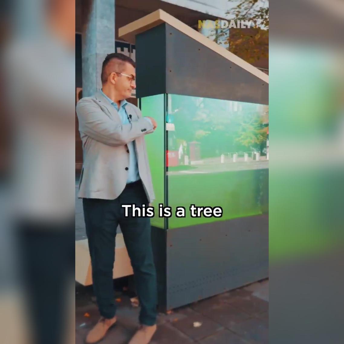 TREEVIDEO