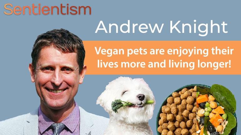 &quot;Vegan pets... They&#39;re enjoying their lives more &amp; they&#39;re living longer&quot; - Dr. Andrew Knight - E148