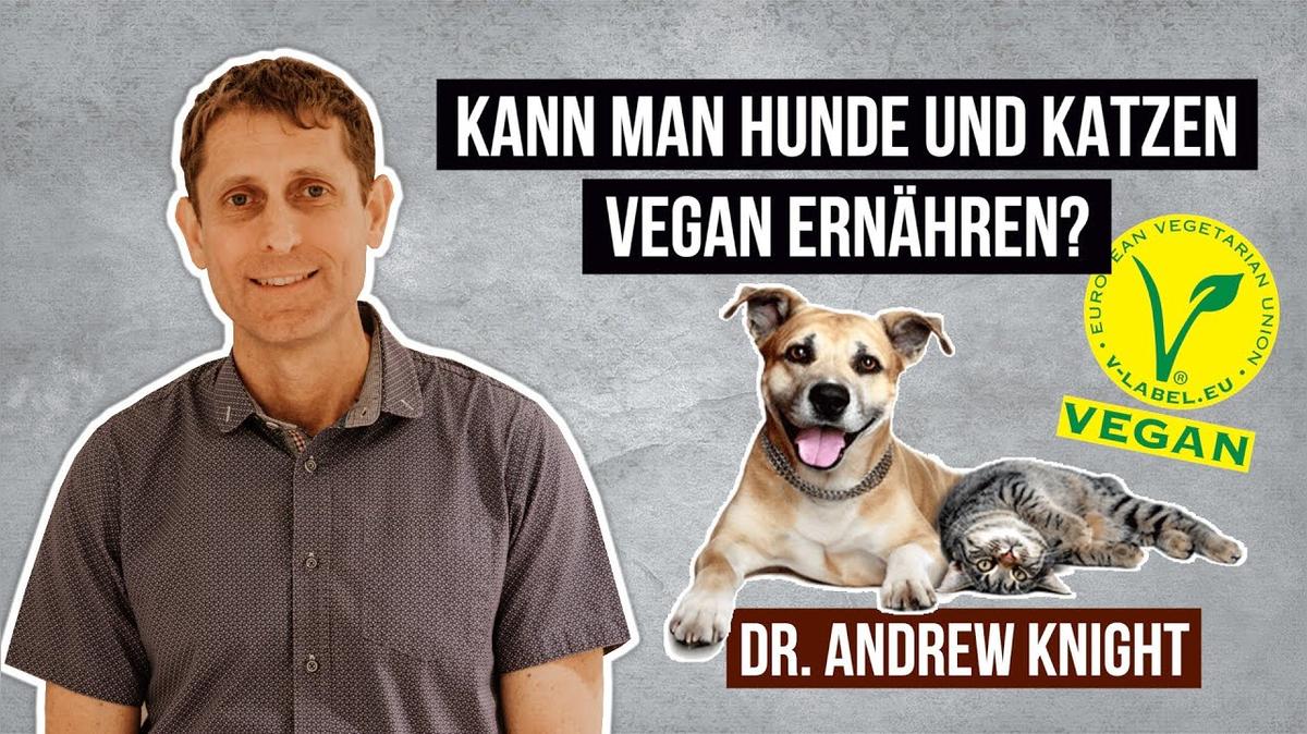 Kann man Hunde und Katzen vegan ernähren? • Dr. Andrew Knight