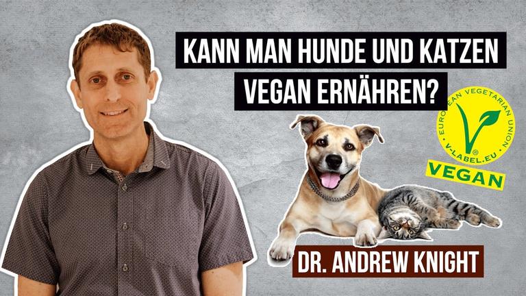 Kann man Hunde und Katzen vegan ernähren? • Dr. Andrew Knight